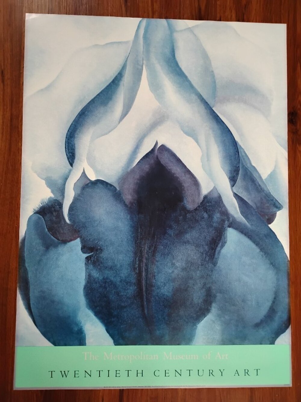 Vintage Georgia O'Keefe Black Iris Metro Museum Art Print Lithography